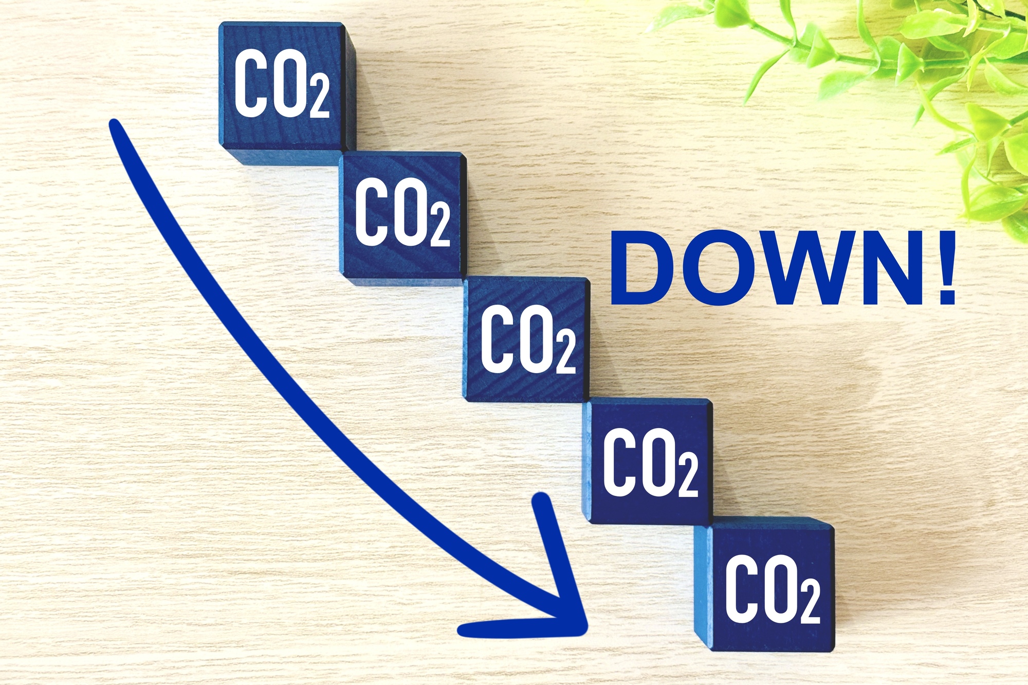 バイオマス発電はCO2削減を実現する発電方法！わかりやすく解説！