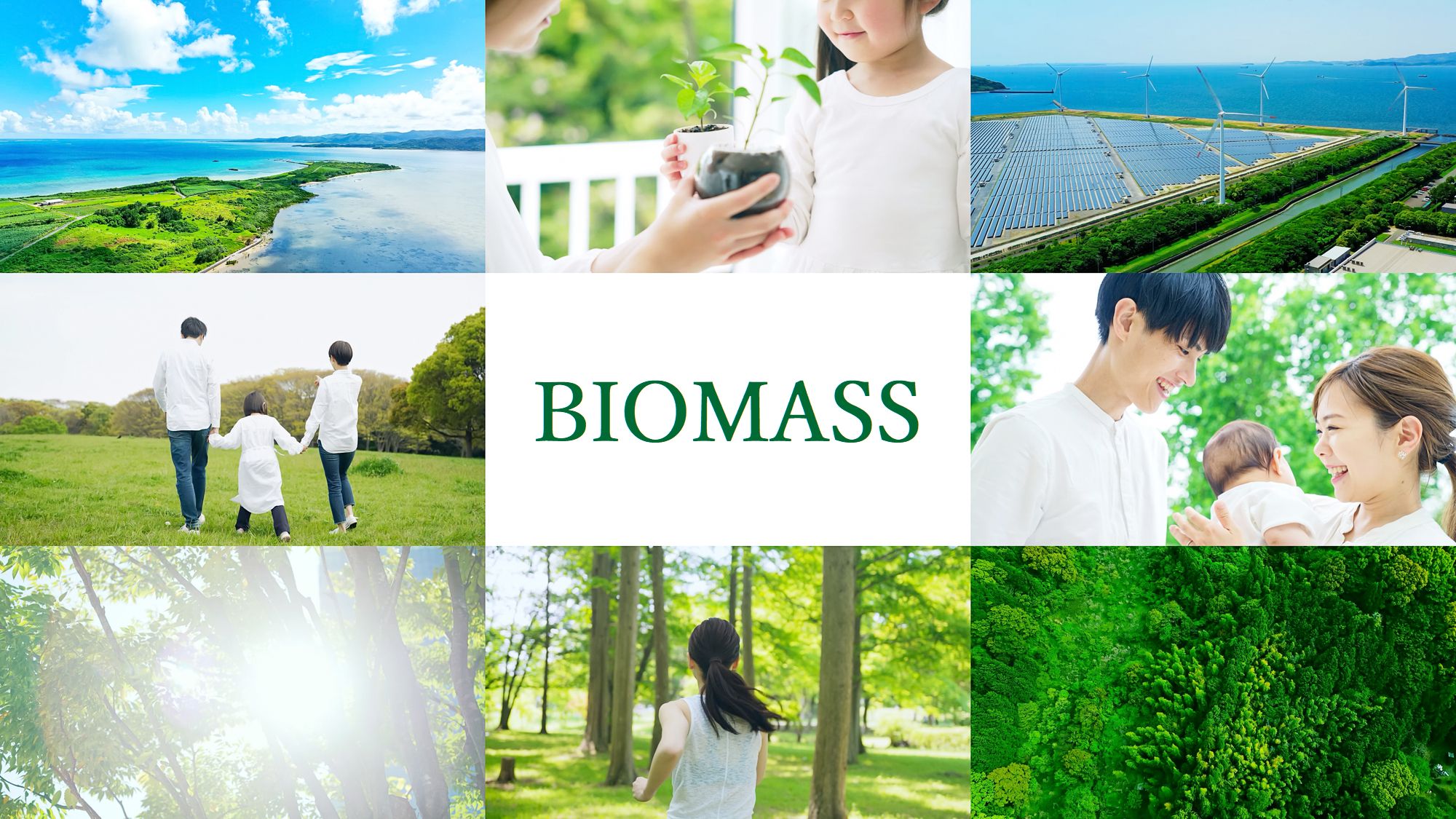 地域資源を活用！バイオマス発電が描く持続可能な未来社会とは？