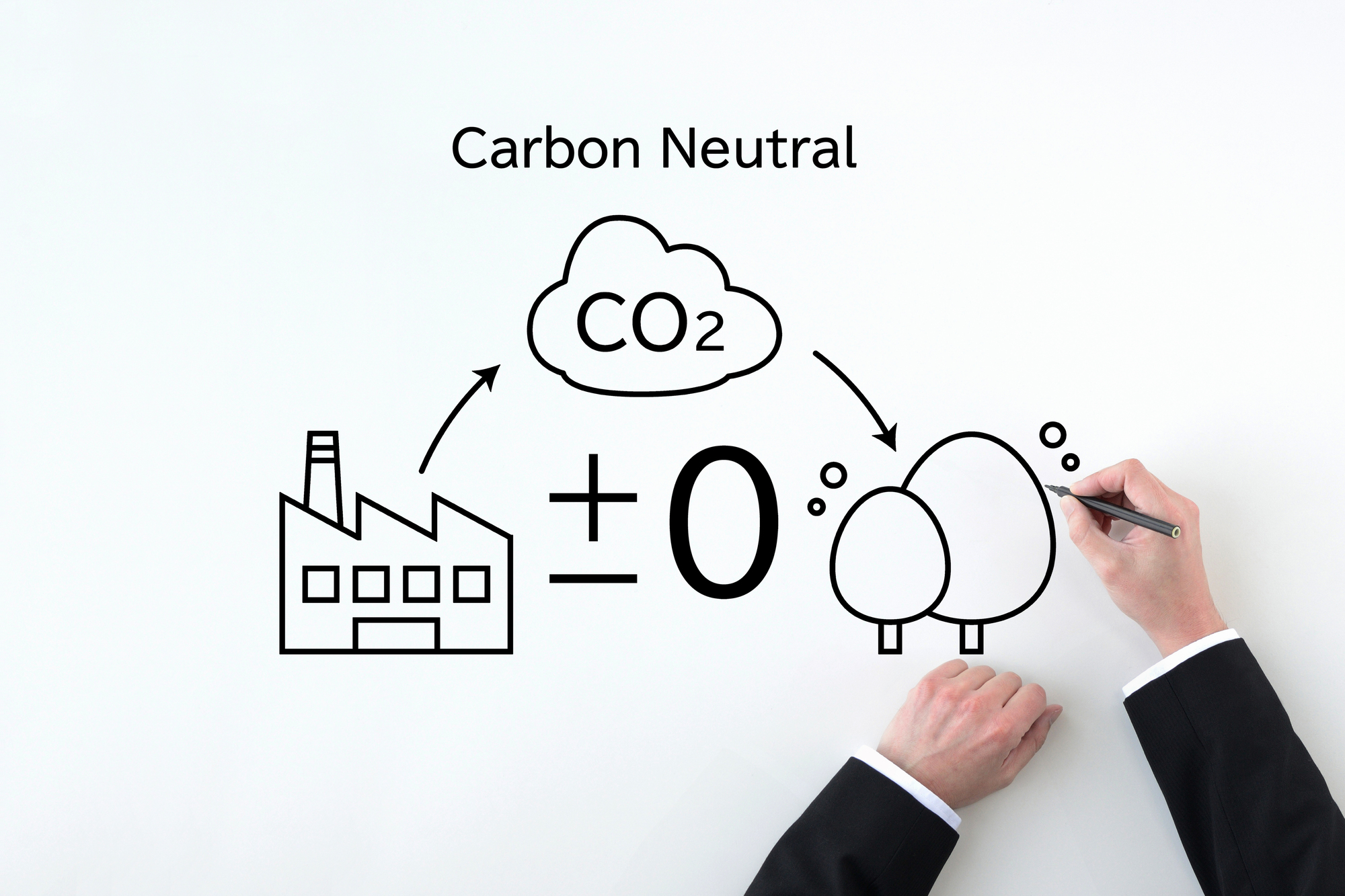 誤解されがちなバイオマス発電！CO2排出とカーボンニュートラルの仕組みを解説！