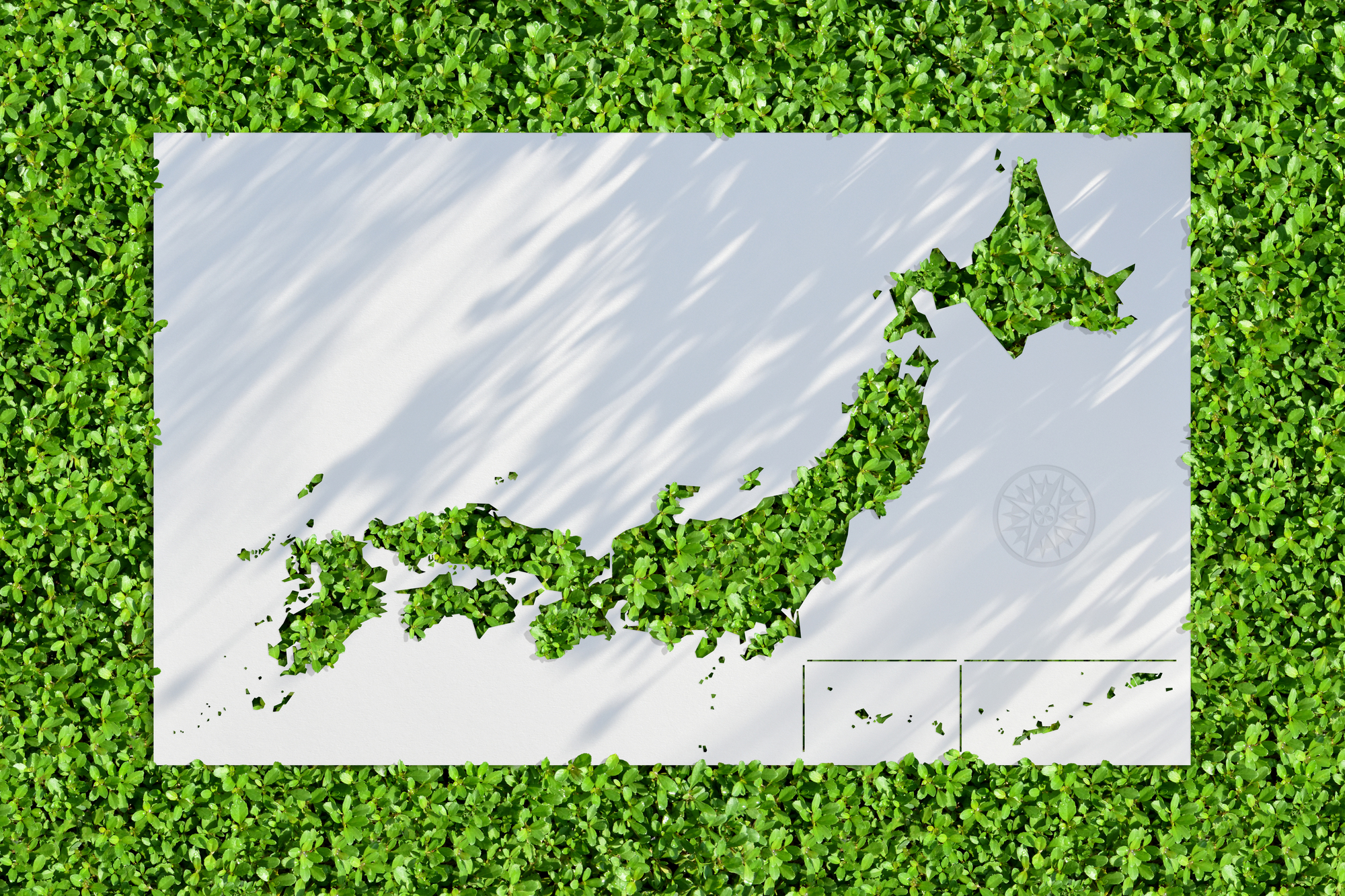 日本におけるバイオマス発電について！発電所の数や現状について解説！